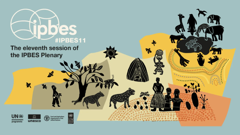 IPBES11 Plenary: Bridging science, policy, and biodiversity