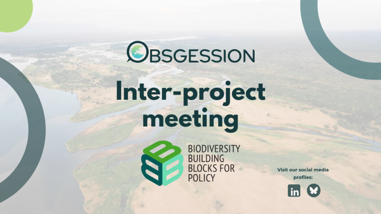 Inter-project collaborations: OBSGESSION meets B-Cubed