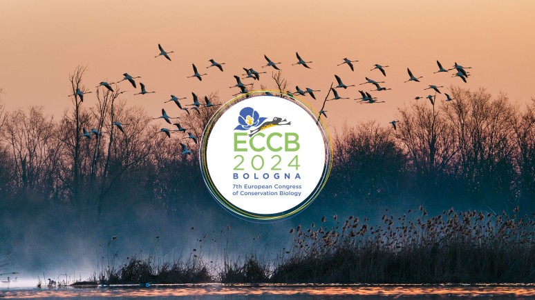 OBSGESSION at the European Congress of Conservation Biology (ECCB 2024)