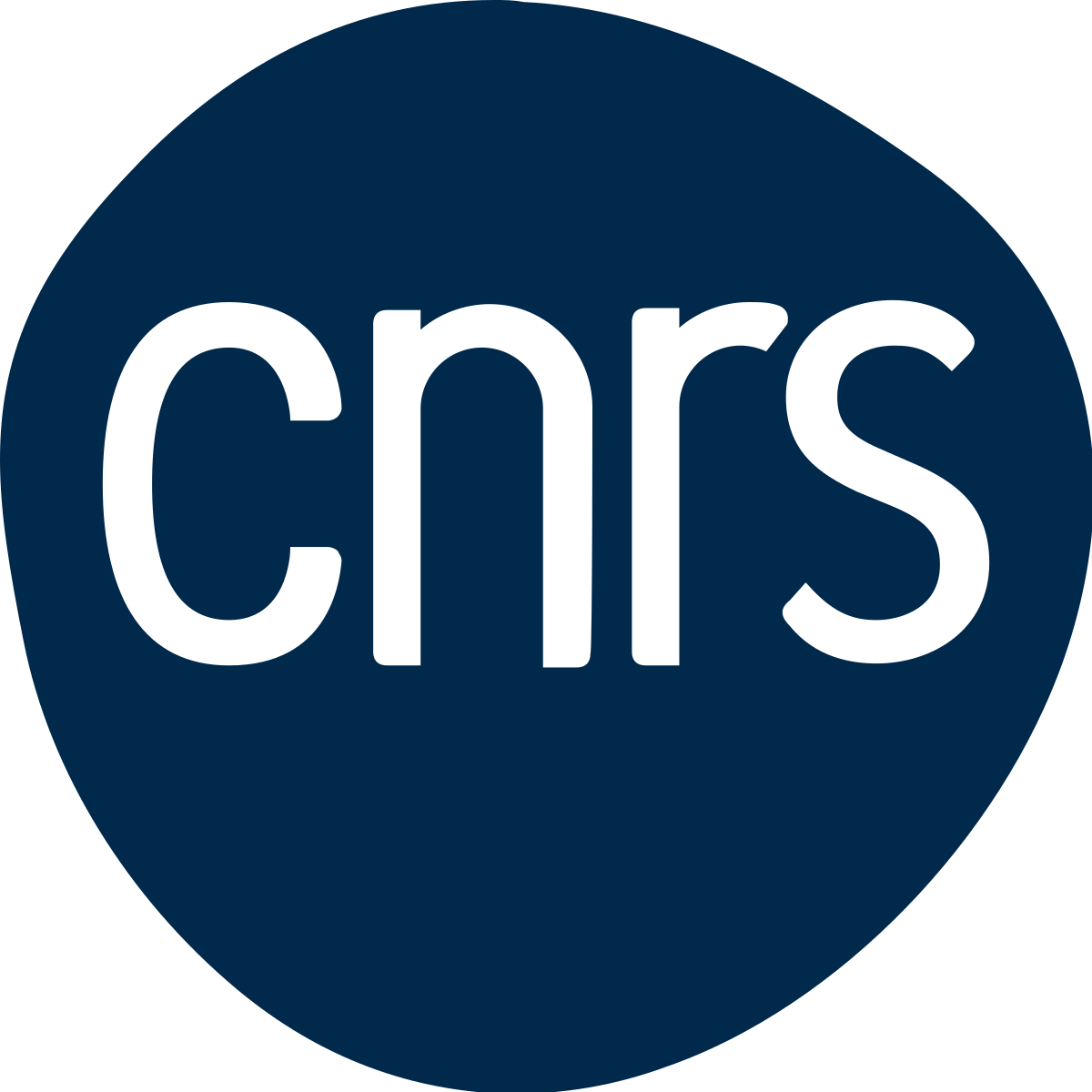 CNRS - French National Centre for Scientific Research logo