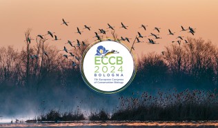 OBSGESSION at the European Congress of Conservation Biology (ECCB 2024)