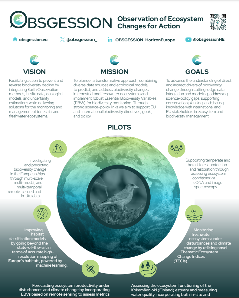 OBSGESSION Poster promotional material