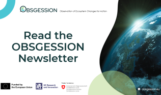The Second OBSGESSION Newsletter was Published