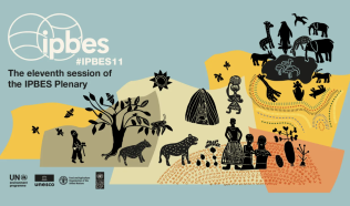IPBES11 Plenary: Bridging science, policy, and biodiversity