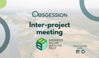 Inter-project collaborations: OBSGESSION meets B-Cubed