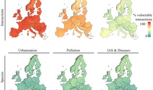 Anthropogenic threats: New study explores terrestrial vertebrate food webs