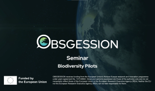 Biodiversity pilots: Internal OBSGESSION seminar