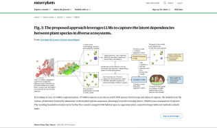 Grammar and plants? New publication on plant communities patterns