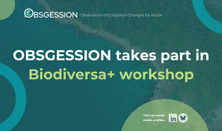 OBSGESSION participated in Biodiversa+ workshop on habitat connectivity