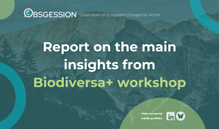 Toward Harmonised Biodiversity Indicators Main insights from the Biodiversa+ workshop