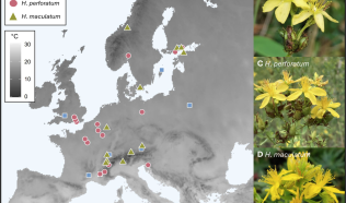 New publication featuring OBSGESSION has been published in the Ecology and Evolution journal