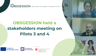 OBSGESSION held a stakeholders meeting discussing recent pilot 3 and 4 results