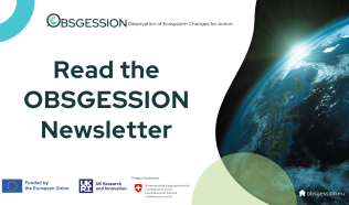 OBSGESSION Newsletter: The June 2026 Edition is out